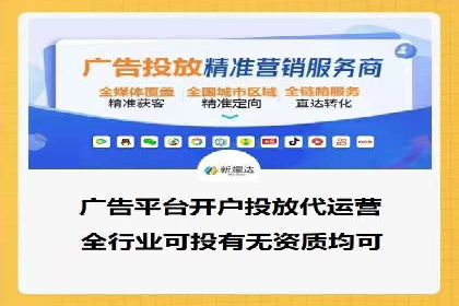 百度广告投放策略与效果评估案例